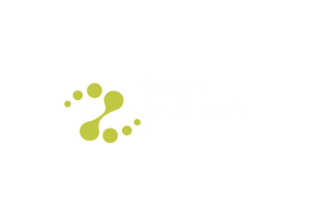 Grupo Smartekh | Ciberseguridad